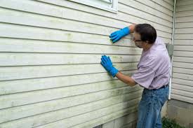 Reliable Williamsburg, FL Siding Installation & Repair Solutions